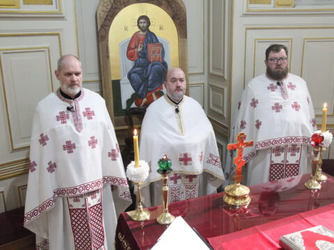 IMG_2271_resize_resize