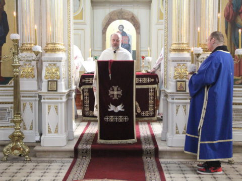 IMG_2279_resize_resize