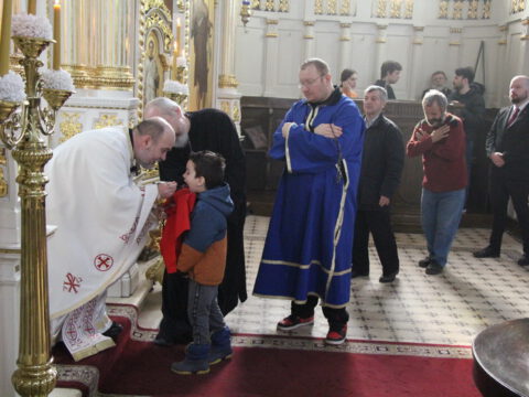 IMG_2309_resize_resize