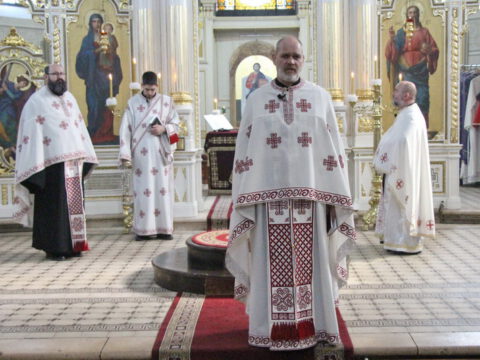 IMG_2320_resize_resize