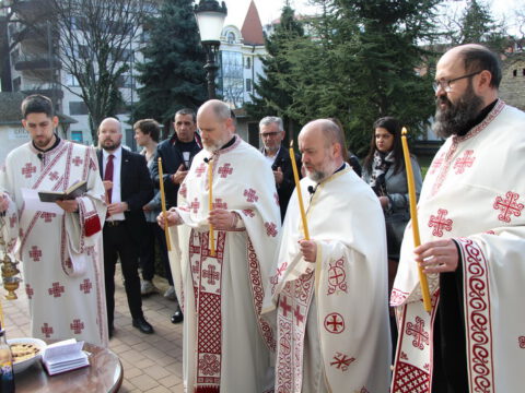 IMG_2337_resize_resize