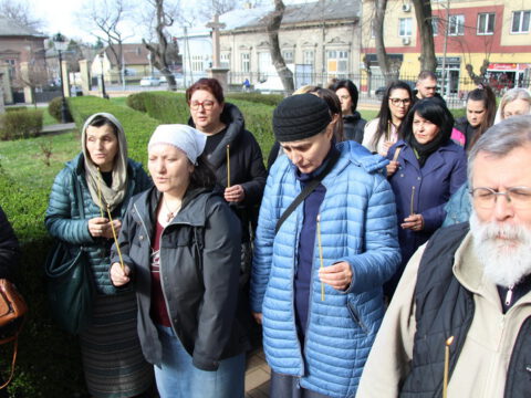 IMG_2341_resize_resize