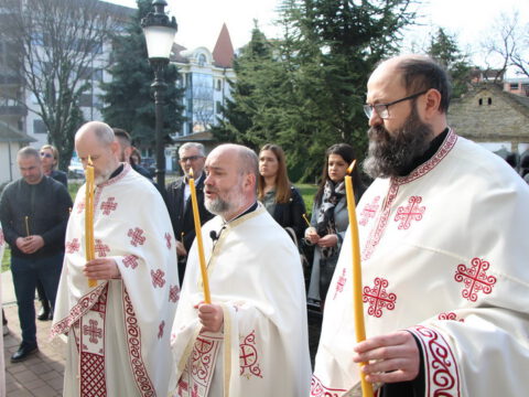 IMG_2342_resize_resize