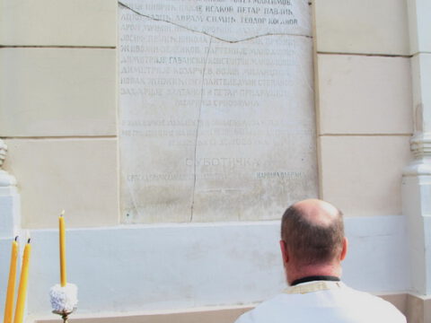 IMG_2350_resize_resize