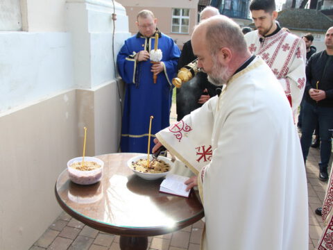 IMG_2353_resize_resize