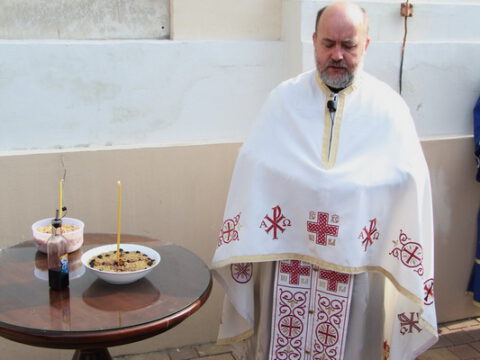 IMG_2366_resize_resize