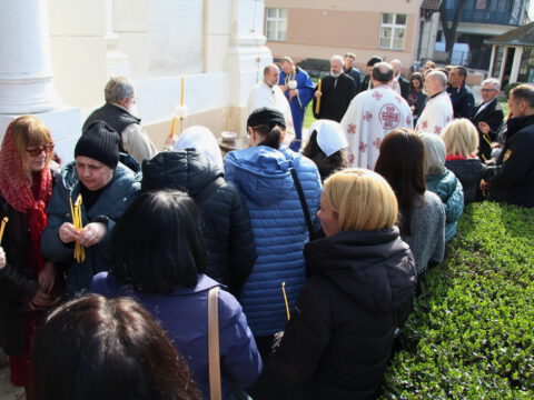 IMG_2372_resize_resize