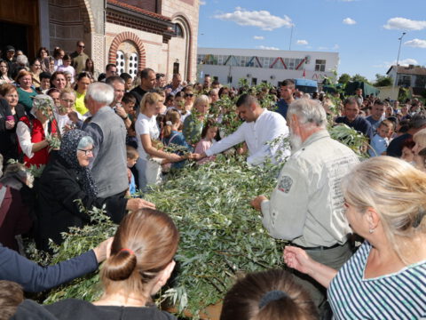 1714225127210_resize