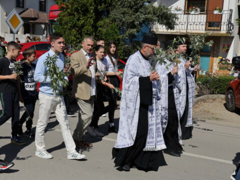 1714225127315_resize