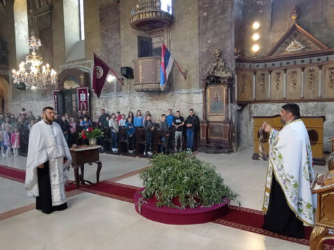 1714301690173_resize