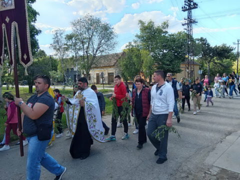 1714301690184_resize