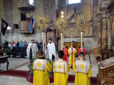 1714301690218_resize