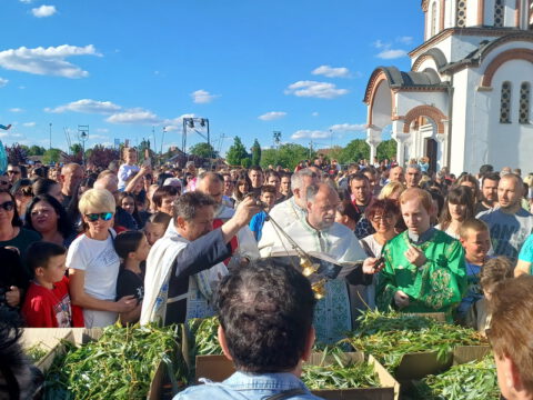 20240427_170502_resize