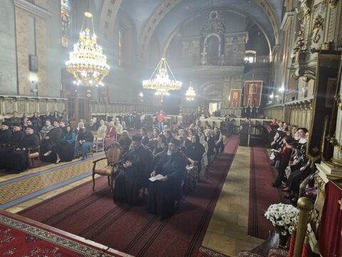 20240428_184205_resize