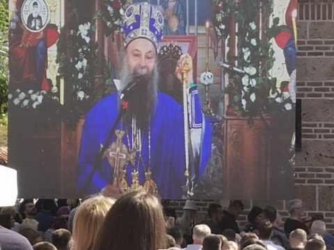 ЋЕЛИЈЕ 3_resize