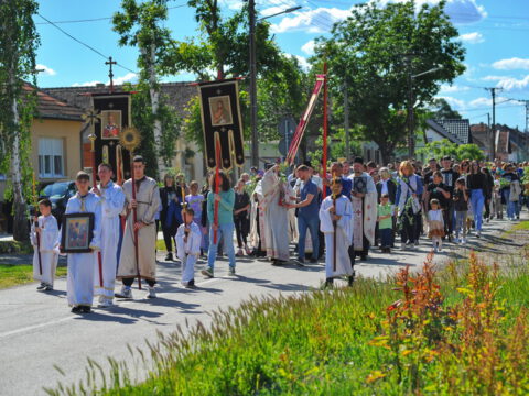 FOTOSIGOR-FACEBOOK+381641182714