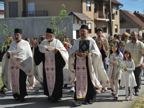 FOTOSIGOR-FACEBOOK+381641182714