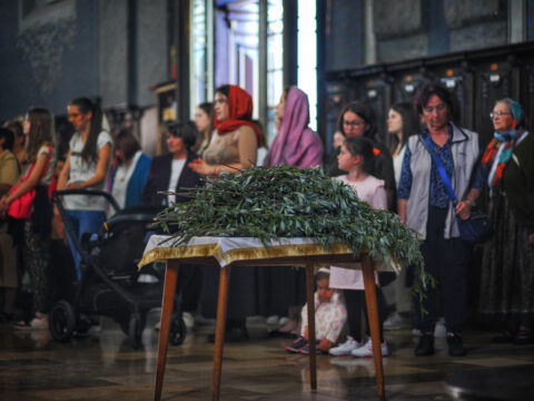 FOTOSIGOR-FACEBOOK+381641182714