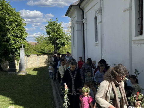 IMG-06771ca04da71ad623774d3f0956b446-V_resize