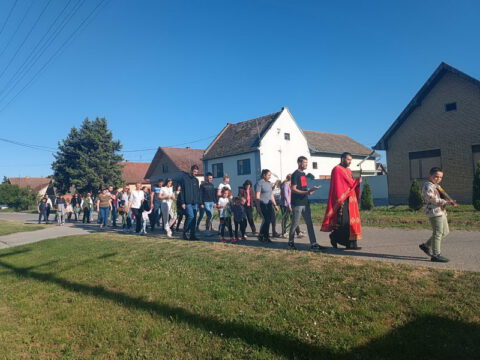 IMG-0d1538d5b16dfa9070ad5b59e17088d6-V_resize