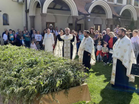 IMG-117419a70e9d9850b15b4d721a29c390-V_resize