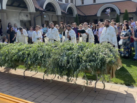 IMG-118083e55f5deb9f87e1c60ae1d40b68-V_resize