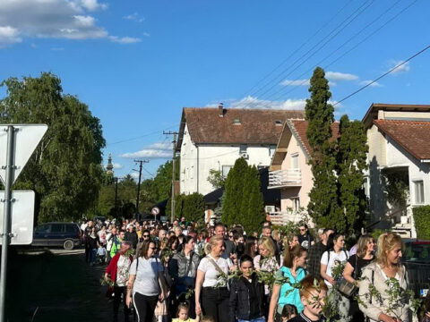 IMG-140dddca2b8db3dfeddbb3c9d02ced7f-V_resize