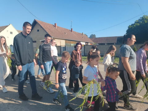 IMG-19773715c575d03570063a30ed144d50-V_resize