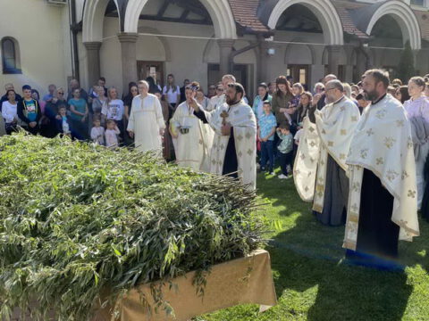 IMG-211b4440014119a41bf6794d1b72c4e5-V_resize