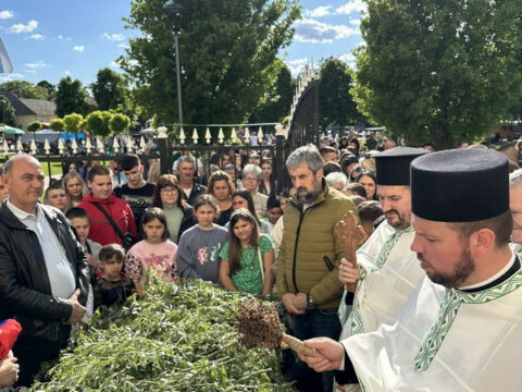 IMG-2481d042d7650a6d475e29db2bfd1764-V_resize