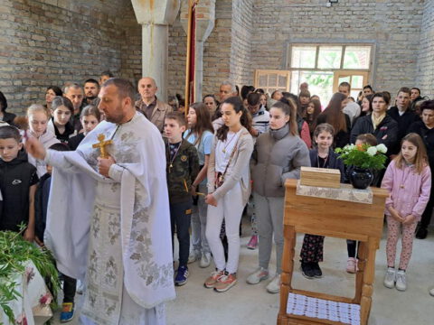 IMG-2a015cca204c4e9a75afe626a1185d5b-V_resize