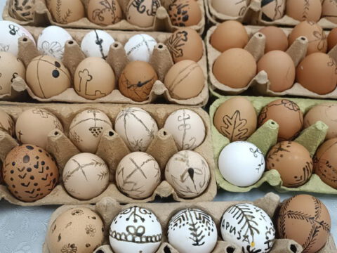 IMG-2ddc1bc80a23be94cf0c18468beda9f8-V_resize