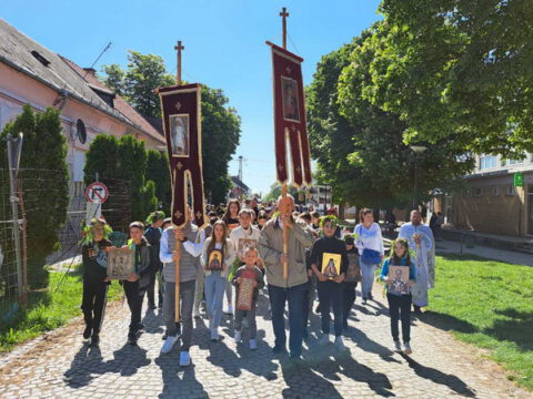 IMG-30bd648c4d5c01c633da17bf0d5676b8-V_resize