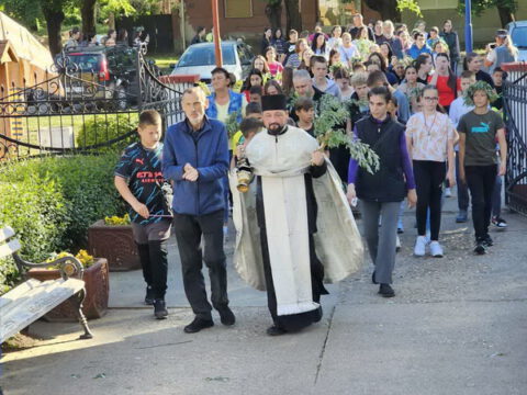 IMG-4bc7528d97227b6ecd1f623d8c2b5f4b-V_resize