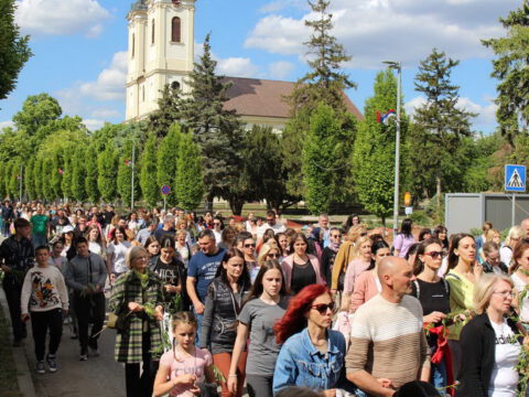 IMG-4c51d4545e61f64e3ab0837444993d2d-V_resize