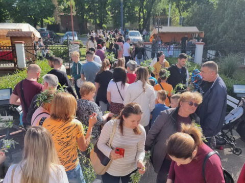 IMG-558b4cf57f237bcb811521acae15f14a-V_resize