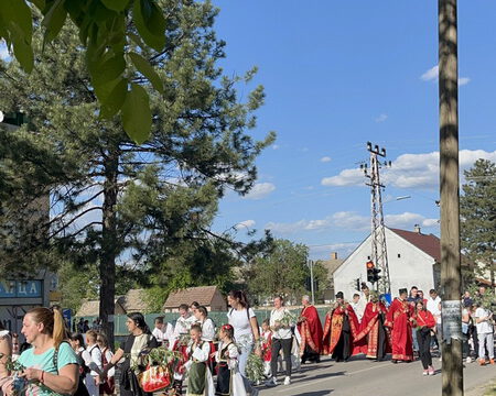 IMG-5bcd733eb2a7b72a853f193346658160-V_resize