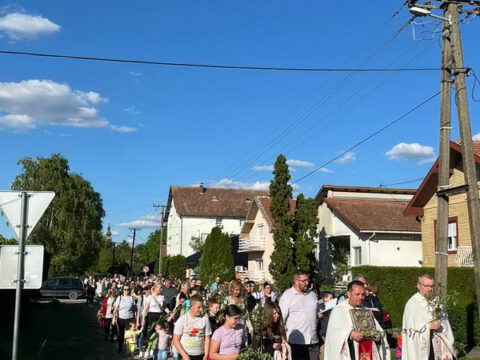 IMG-61ccf0f9b92bc41253a8084836fd5d7e-V_resize