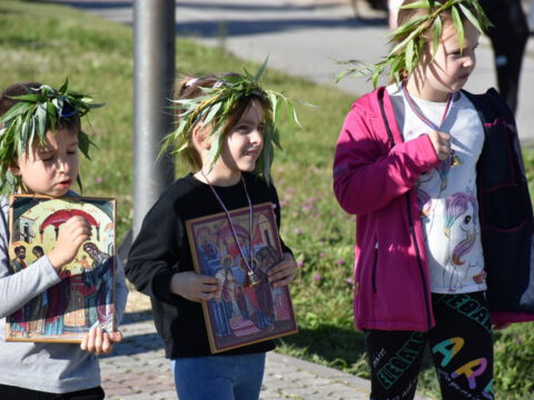 IMG-61e66cd57c696b7fdf1df0f4f905a172-V_resize