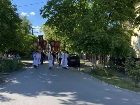 IMG-6b3e774ed0366c9cbaf6b4885fb1cbb7-V_resize