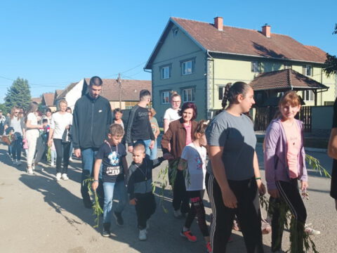 IMG-6c52f8e578ef70882abc334d3bf55b0a-V_resize