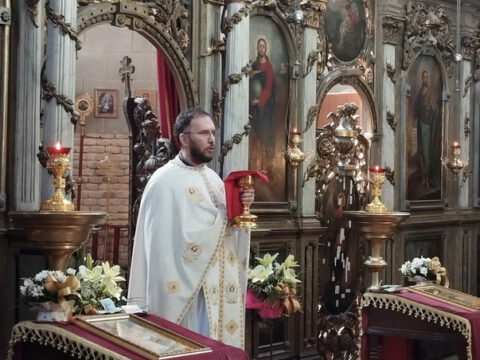 IMG-7160dd786c39494e95b45418a05a200f-V_resize