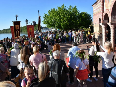 IMG-a30642009022eae5f4d69ba3812b0e46-V_resize