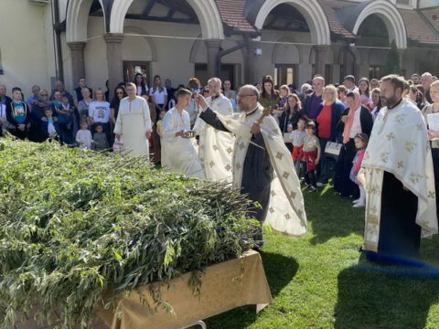 IMG-a4eabbe145e16fef40d13ecf8151e34f-V_resize