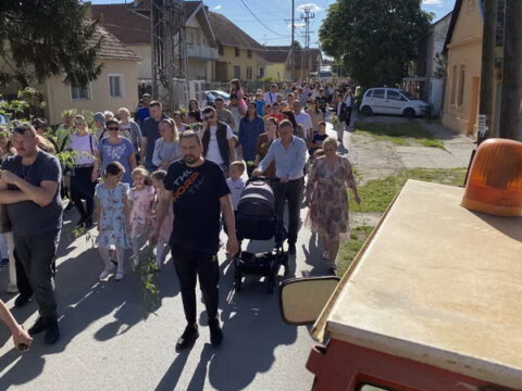 IMG-aeb8f14062c47cc8903618646135c254-V_resize