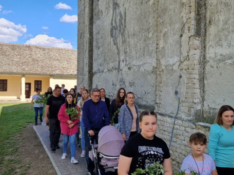 IMG-c23c6933a2df571722d79cc46ce74300-V_resize