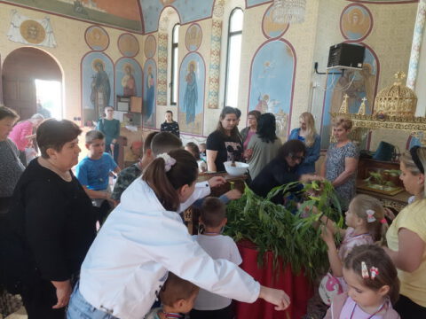 IMG-c3e7a408a6d35d829ba9aa79b8894015-V_resize