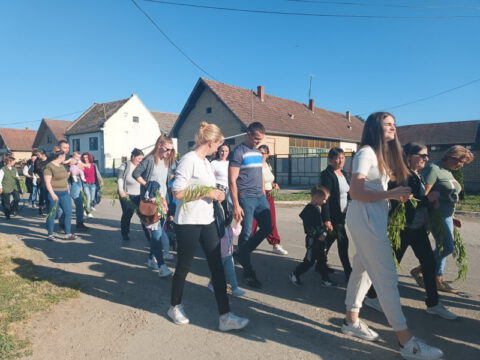 IMG-c82ee81d7b50e8957d9f47074c54f8dd-V_resize