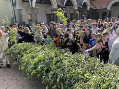 IMG-cac3ef77d901df5e5d338f6c7f3d1f2e-V_resize