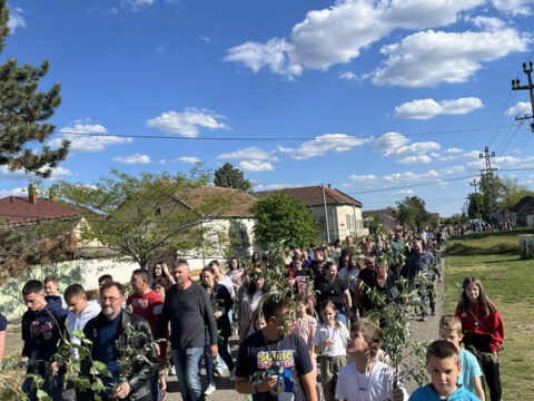 IMG-cb5a41117da29127e9c409689fca10f9-V_resize